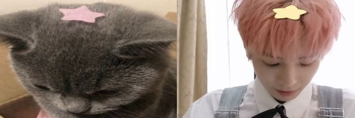 faz 🍥 BUSY ! banner