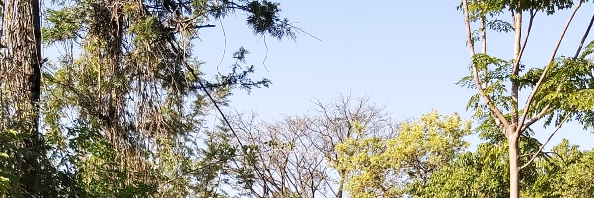 Jimbrz31's profile banner image