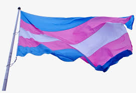 cdlc_foundation's profile banner image