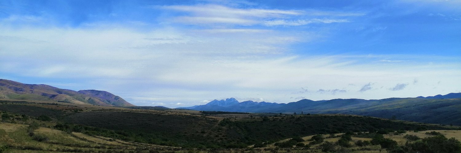 Carla Dodd banner