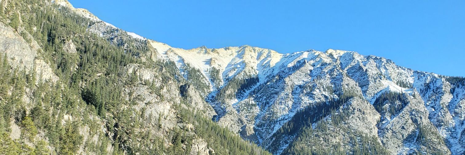 wokeyolk's profile banner image
