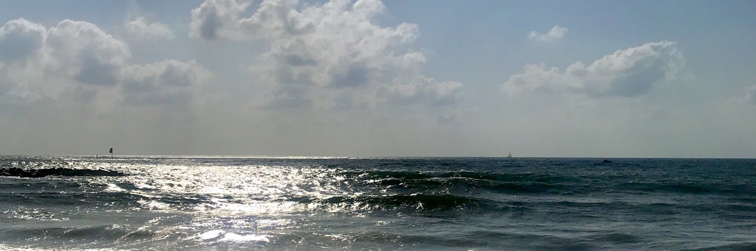 Orr Ben-Asuli banner