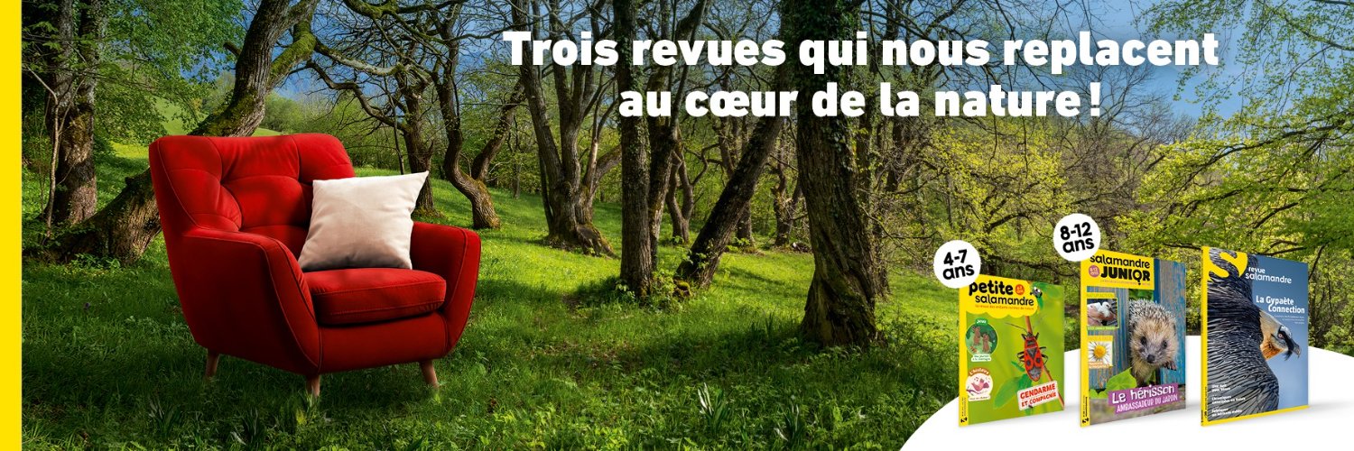 Salamandre banner