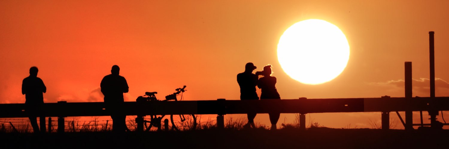 South Florida Sun Sentinel's banner