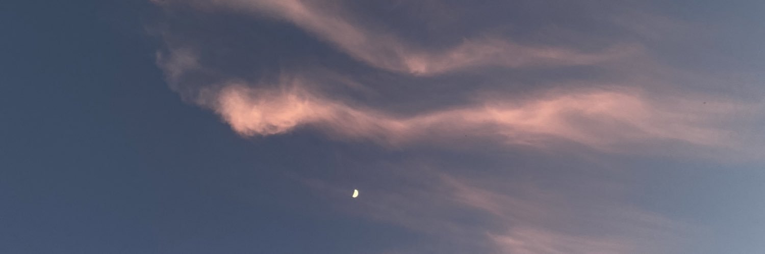 laraparedessoto's profile banner image