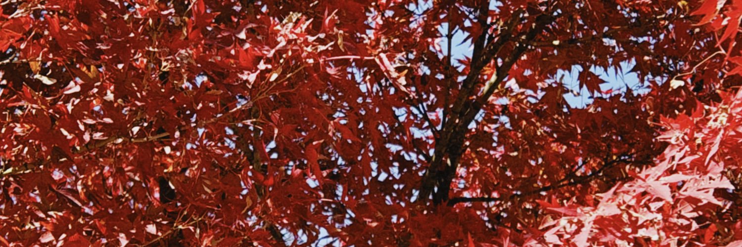 ⭐️ banner
