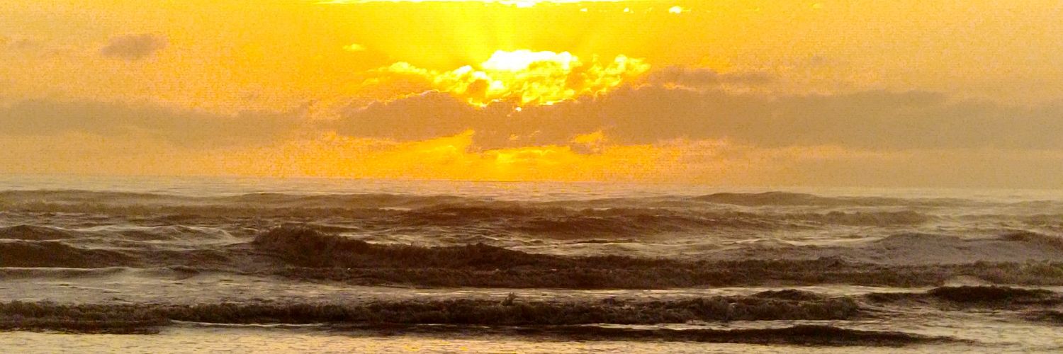 lalalan32's profile banner image