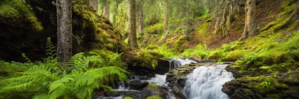 fraiIity Profile Banner