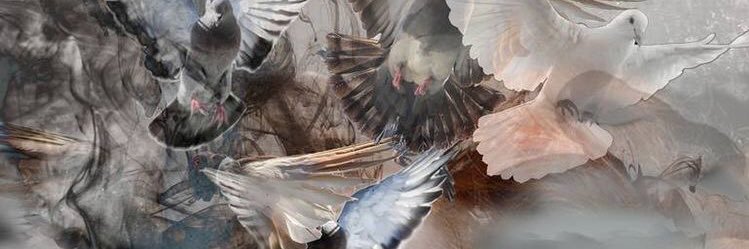 faridaakhun's profile banner image