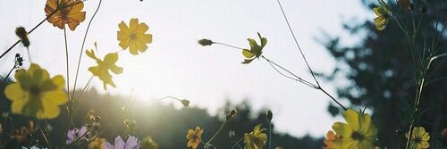 ChrHung's profile banner image