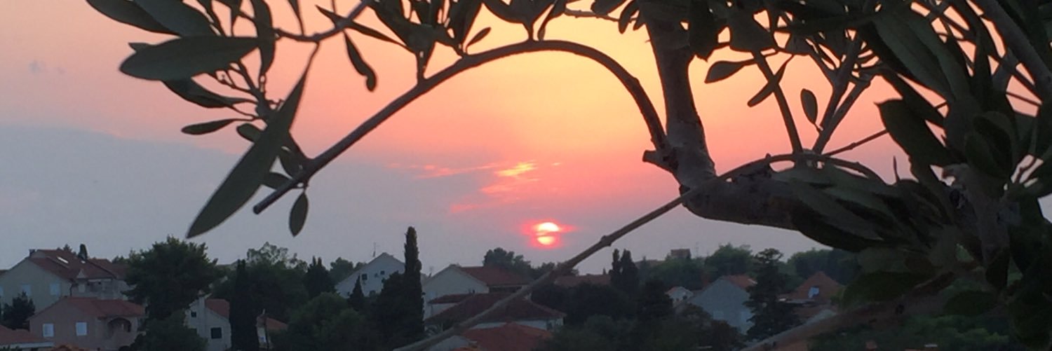 Bethan Johnson banner