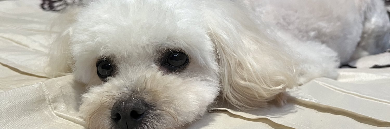 fiooxc's profile banner image