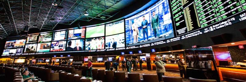 Sports Nicknames banner