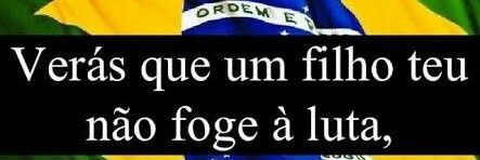 Cinara De Bem 🇧🇷🇮🇱🇺🇲 banner
