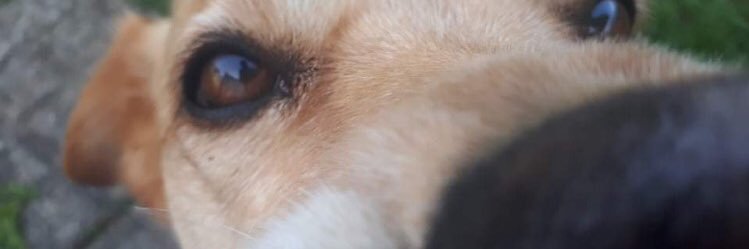 emmacurran2104's profile banner image