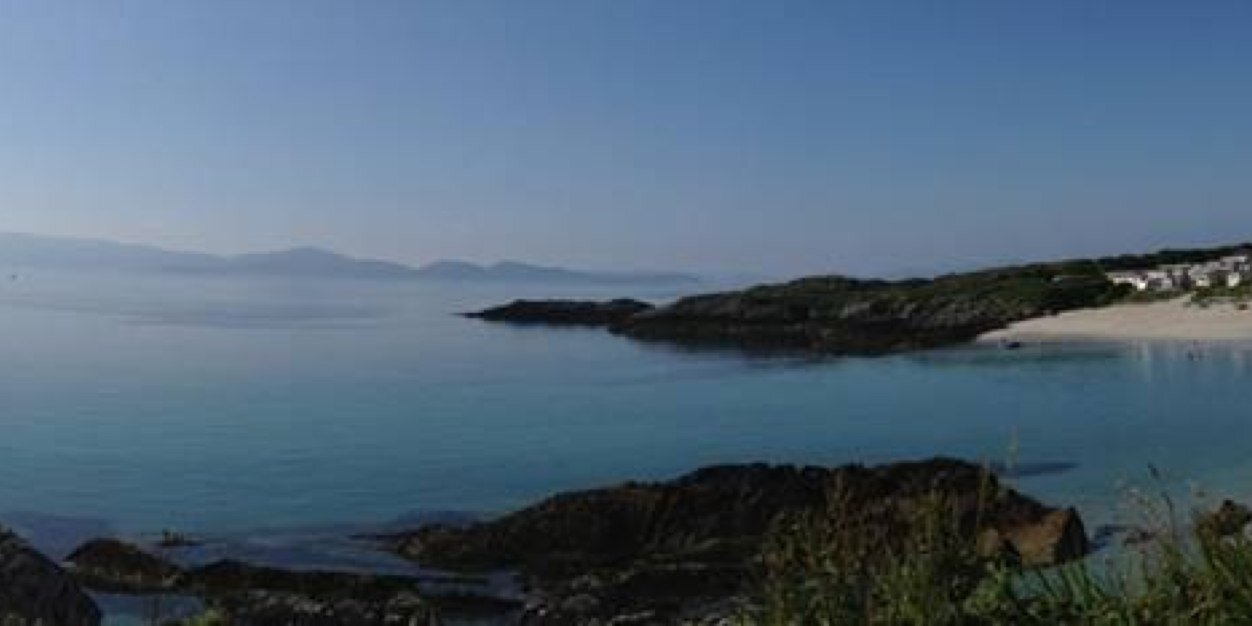 peanutbridget's profile banner image