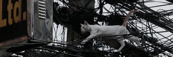 sickcodes Profile Banner