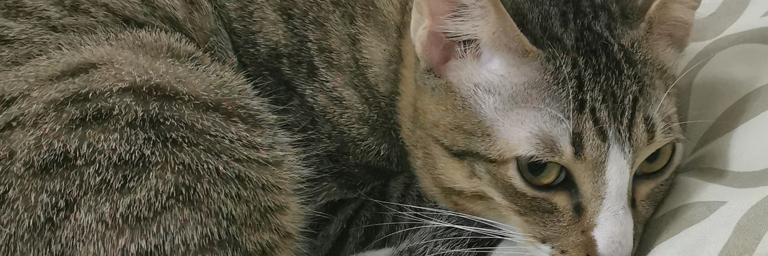 askz_me's profile banner image