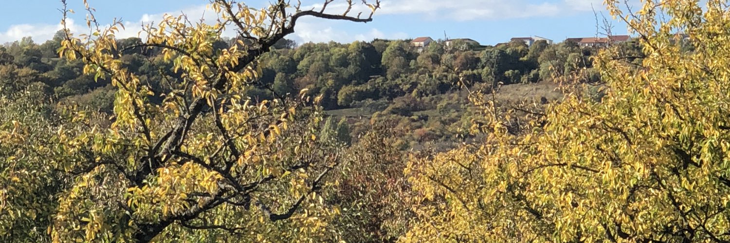 Philippe Mangin banner