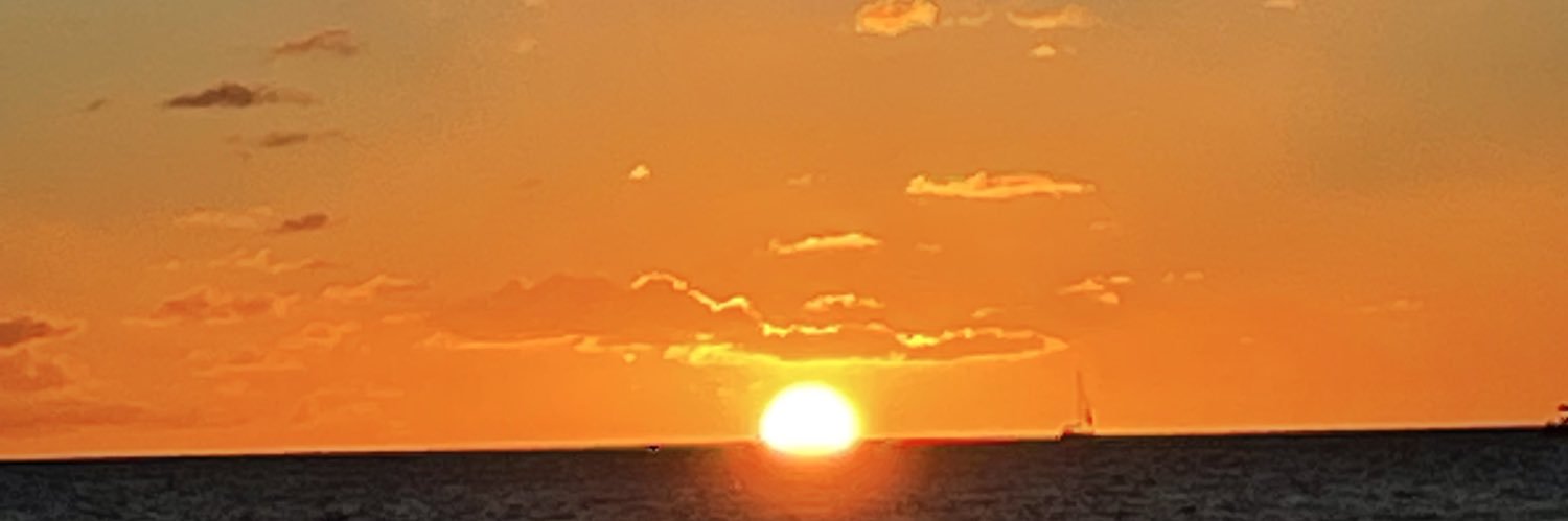 RinaldiCecile's profile banner image