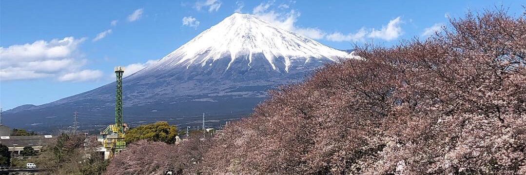 ochyochi's profile banner image