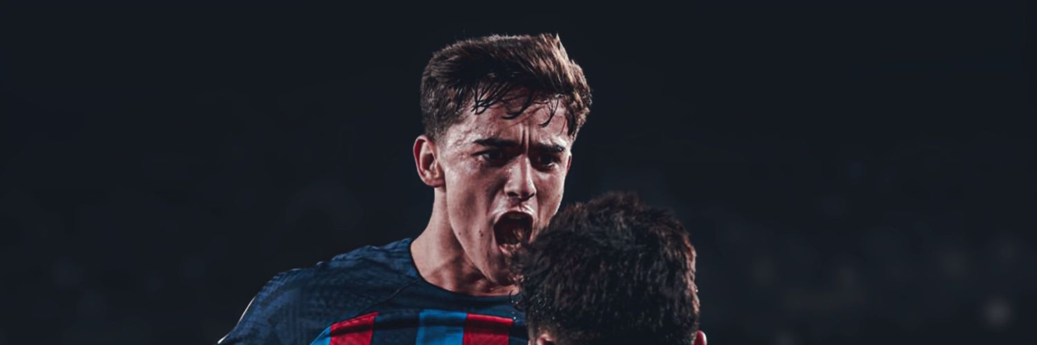 Dnrdinho banner