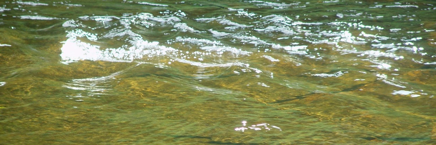 DaringVentures banner