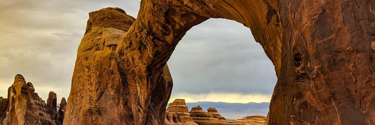 Nic Du Vernet banner