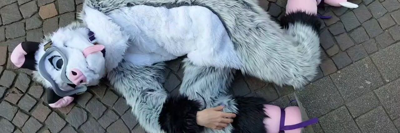 Programmausfall banner