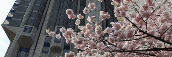 AnsonCChung Profile Banner