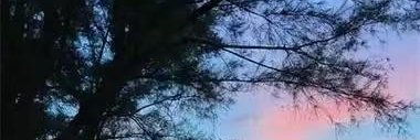 a95199570's profile banner image