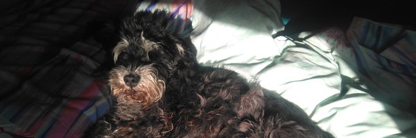 EstherRubioPort Profile Banner