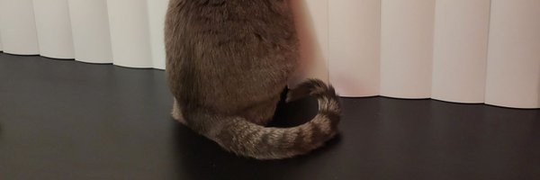 HanCrossXXX Profile Banner