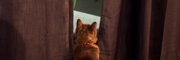 HanCrossXXX Profile Banner