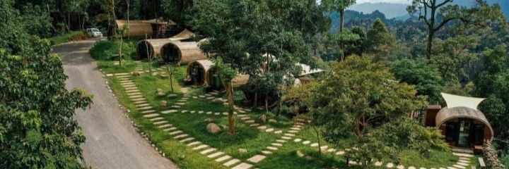 maypakse's profile banner image