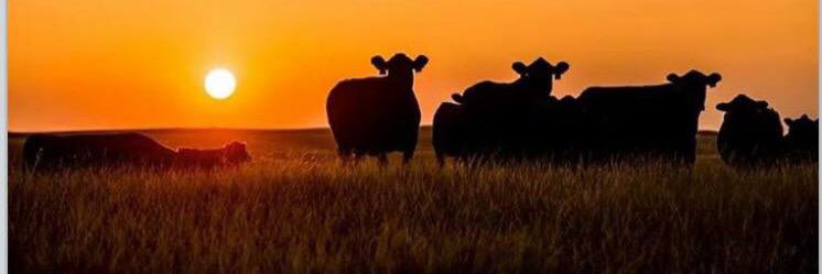 WeathersFarms's profile banner image