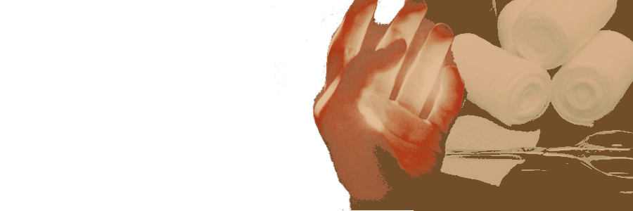 — 𝖉𝗲𝗺𝗶𝗴𝗼𝗱 𝖈𝗮𝗿𝗲𝗯𝗲𝗮𝗿 . banner