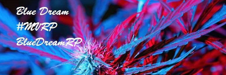 Blue Dream banner