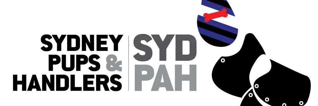 SYD-PAH banner