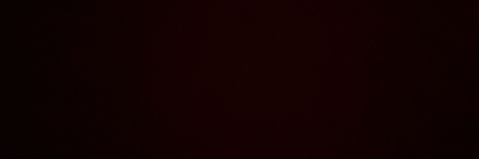 TheeSunbear banner