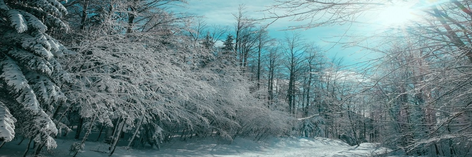 mrnickle's profile banner image