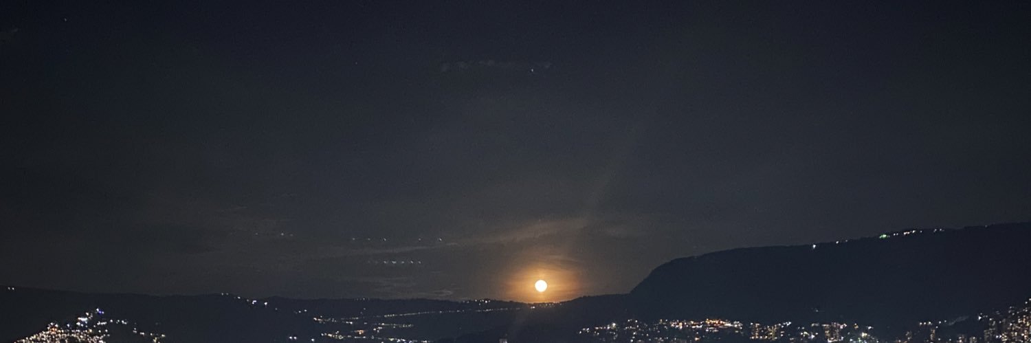 MP_L08's profile banner image