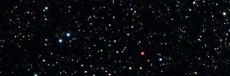 koaladanhallice's profile banner image