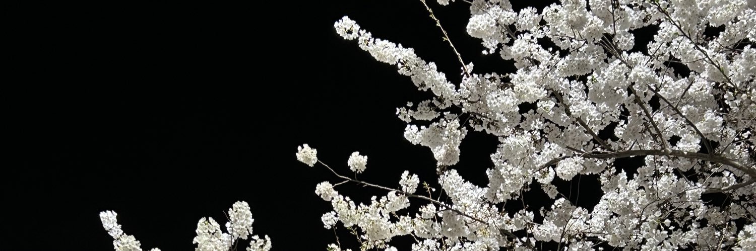 caviar pancakes banner