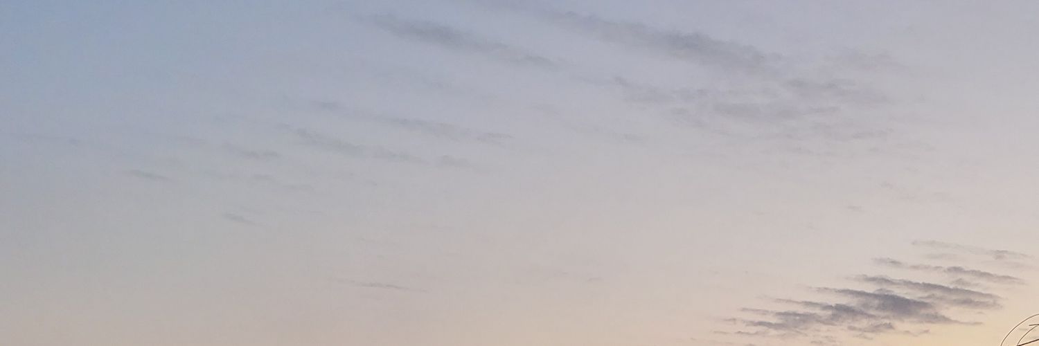 Emelie banner