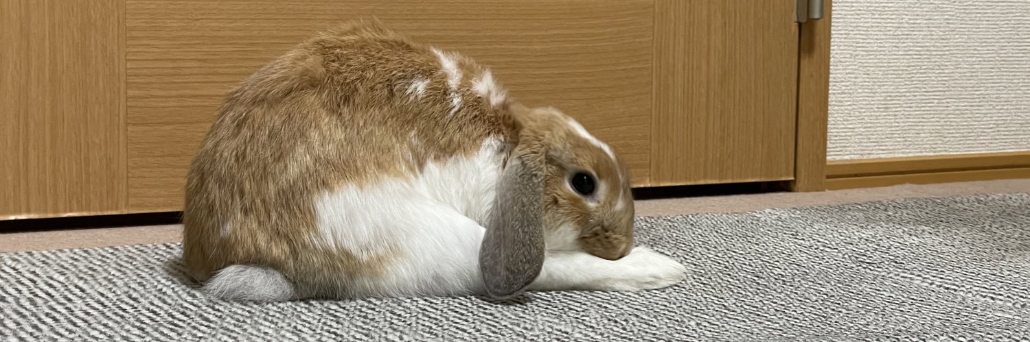 波浮すわ🐰🏗️ banner