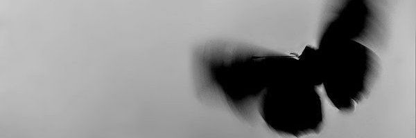 FemboyAlif's profile banner image