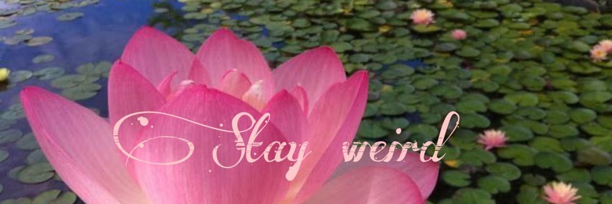 ⛓✧༺ 𝔜𝔲𝔬𝔯ℌ𝔦𝔤𝔥𝔫𝔢𝔰𝔰 ༻✩⛓ banner