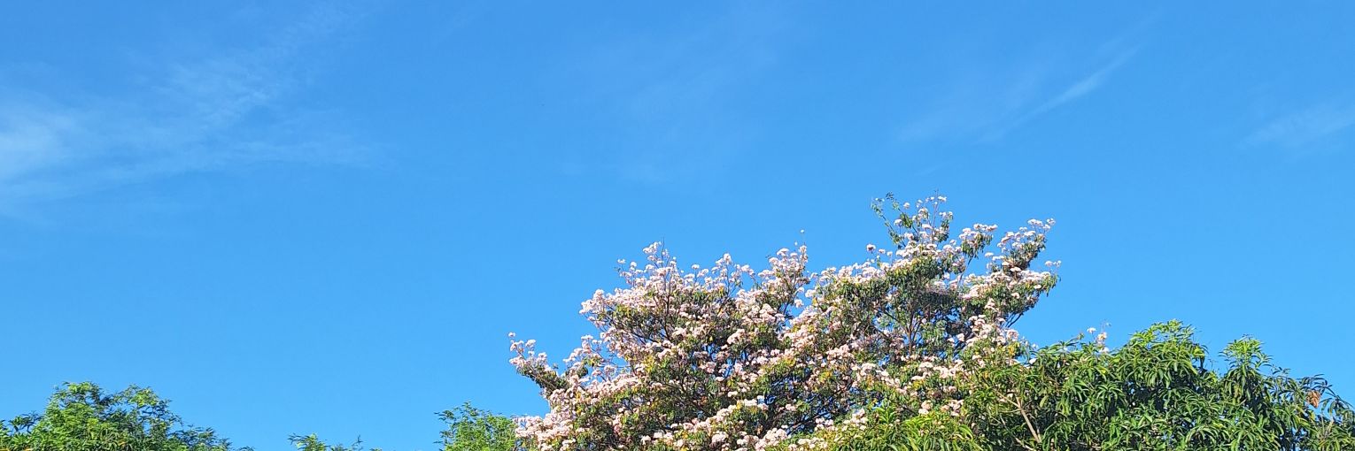 ouokst's profile banner image