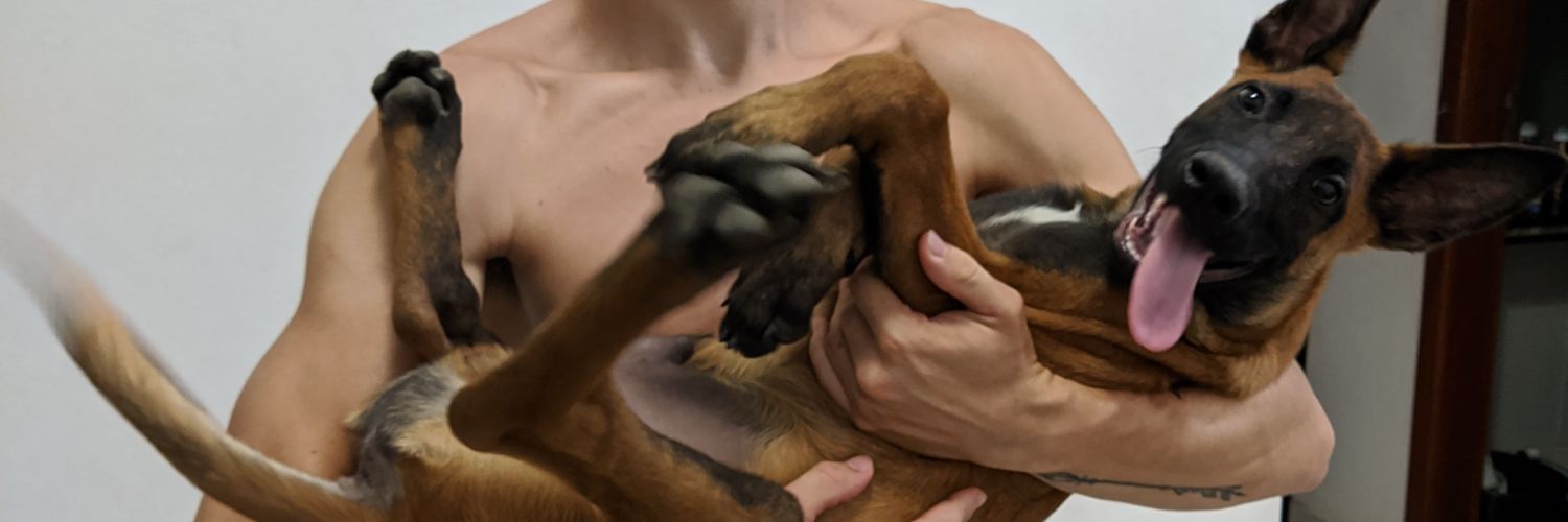 PatrickJavarini's profile banner image